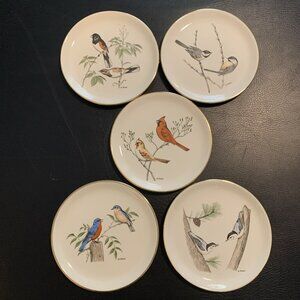 5 Delano Studios Hand Colored Bird Plates From Dennis Puleston 7.25" Vintage